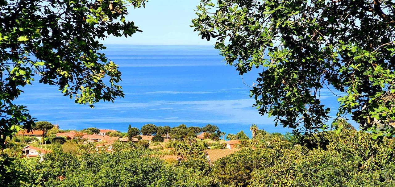 Naturamare Apartments - Piscina Idromassaggio Con Vista Mare Aperta Fino Alle Ore 22-00 Capo Vaticano Exterior foto